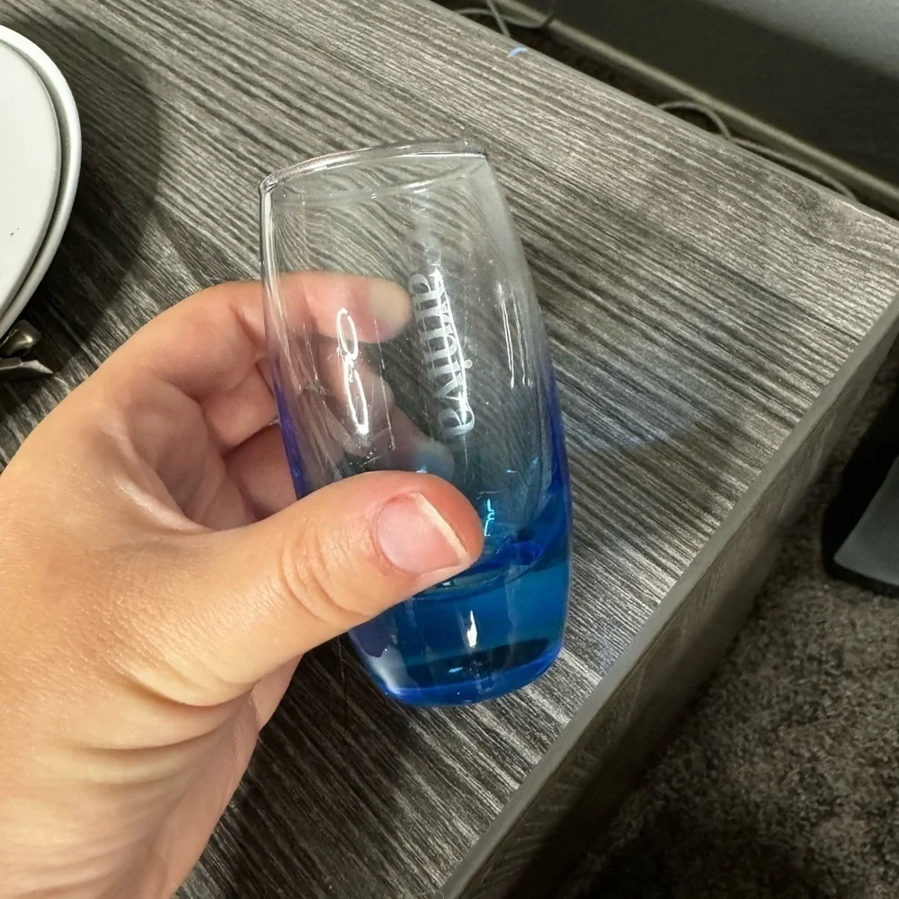 Carnival Cruise Blue Ombre 5oz Shot Glass Souvenir Barware OS